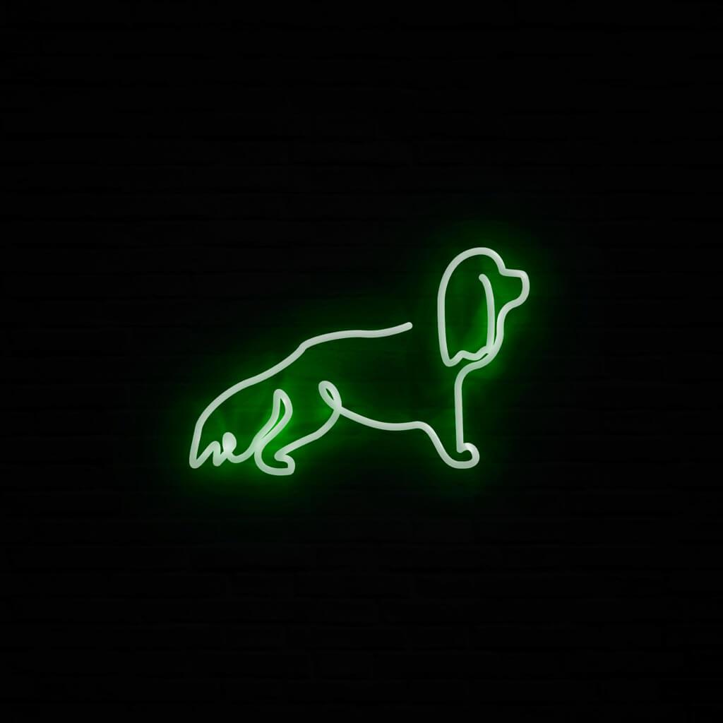 Cavalier Neon LED