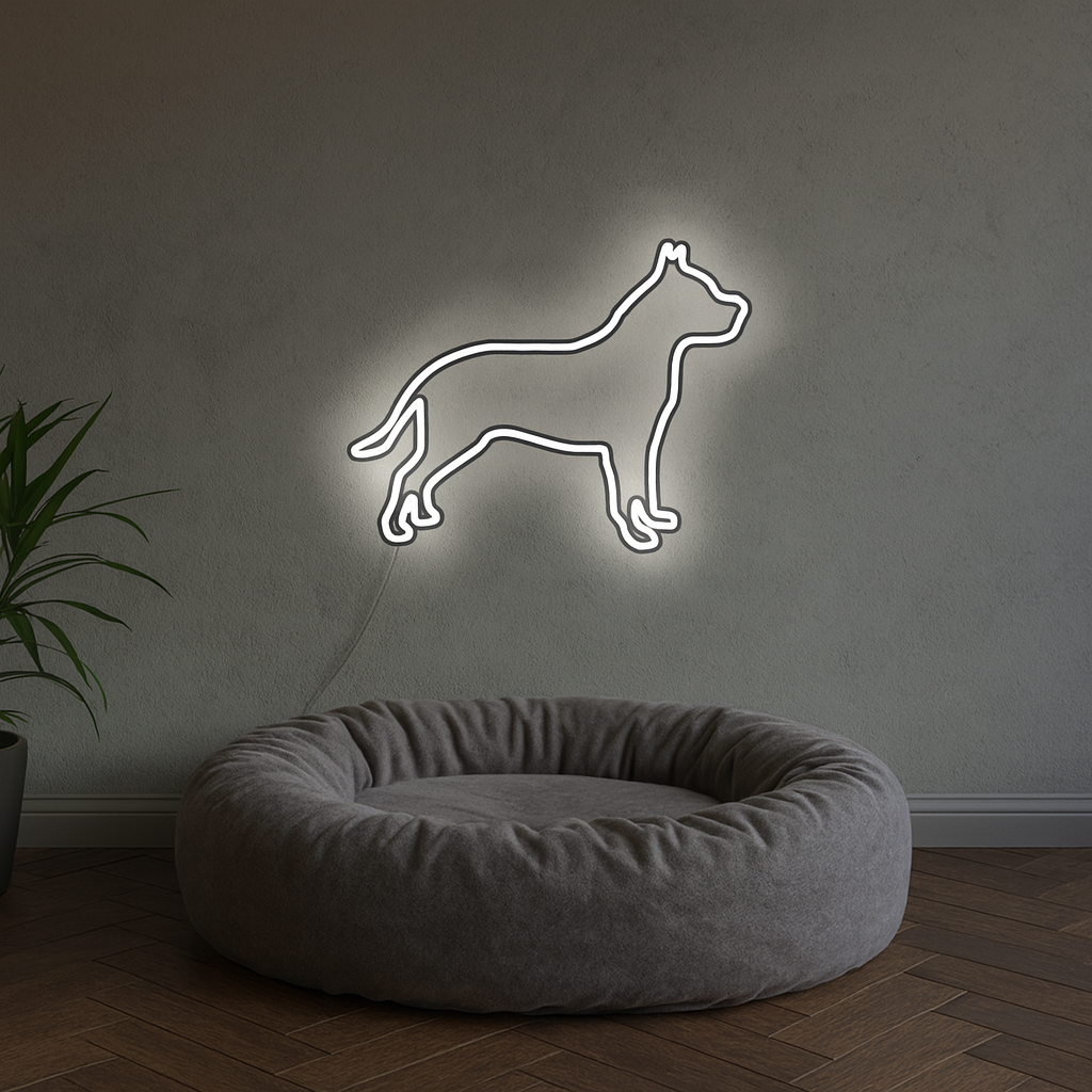 Pitbull Neon LED