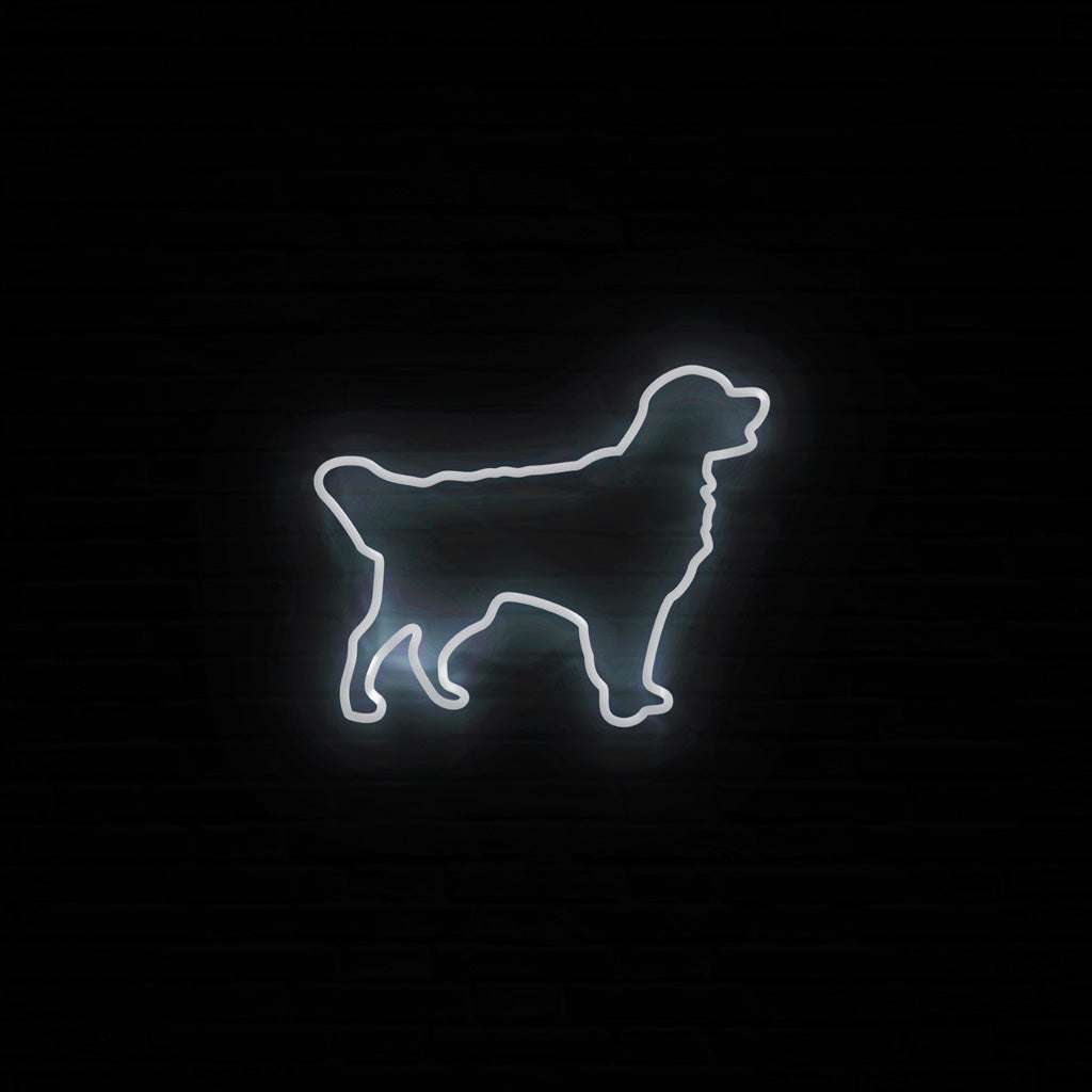 Golden Retriever Neon LED