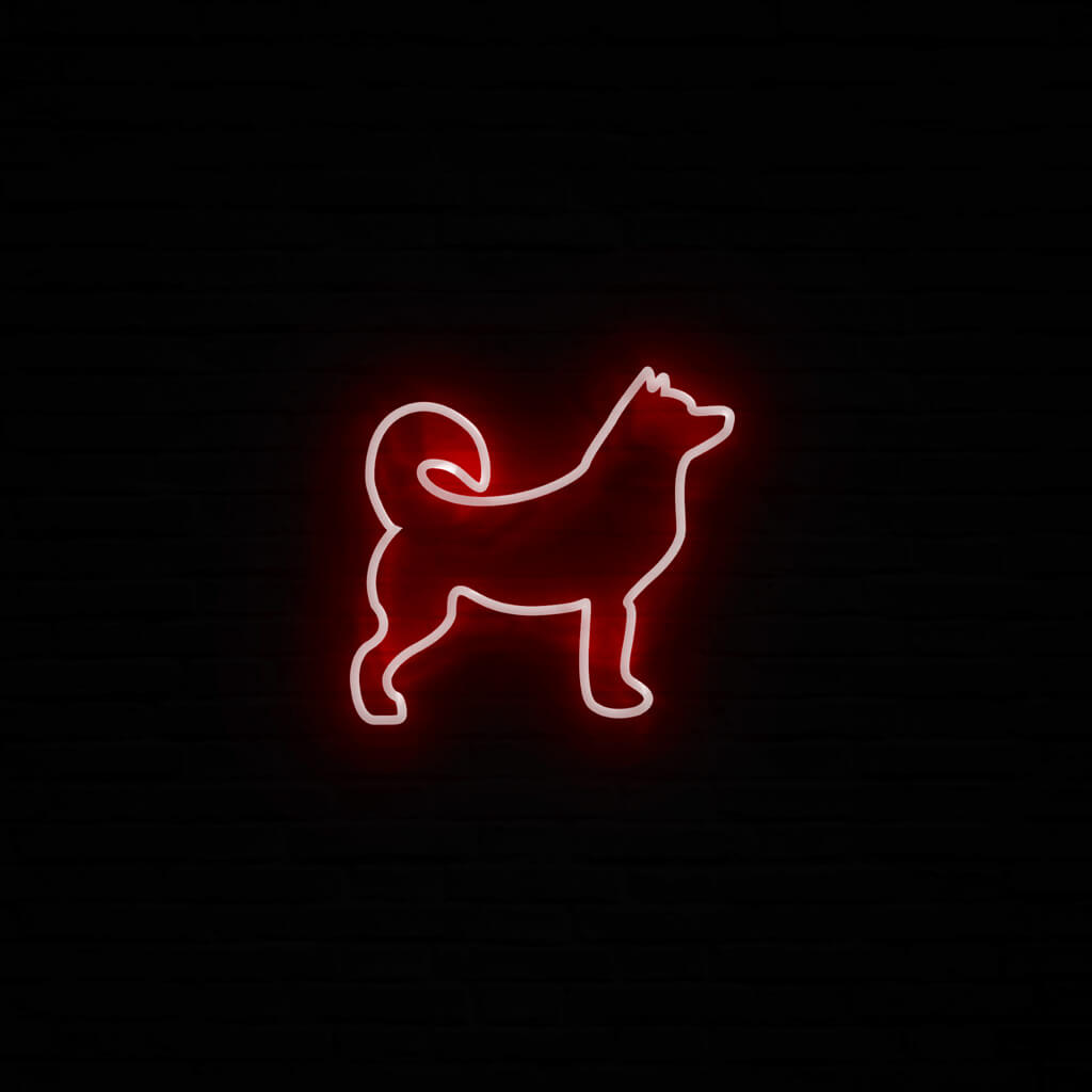 Husky Neon LED