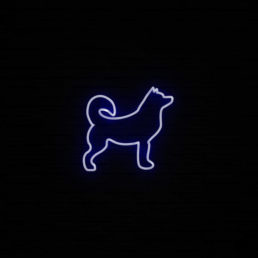 Husky Neon LED