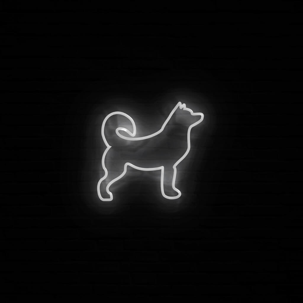 Husky Neon LED