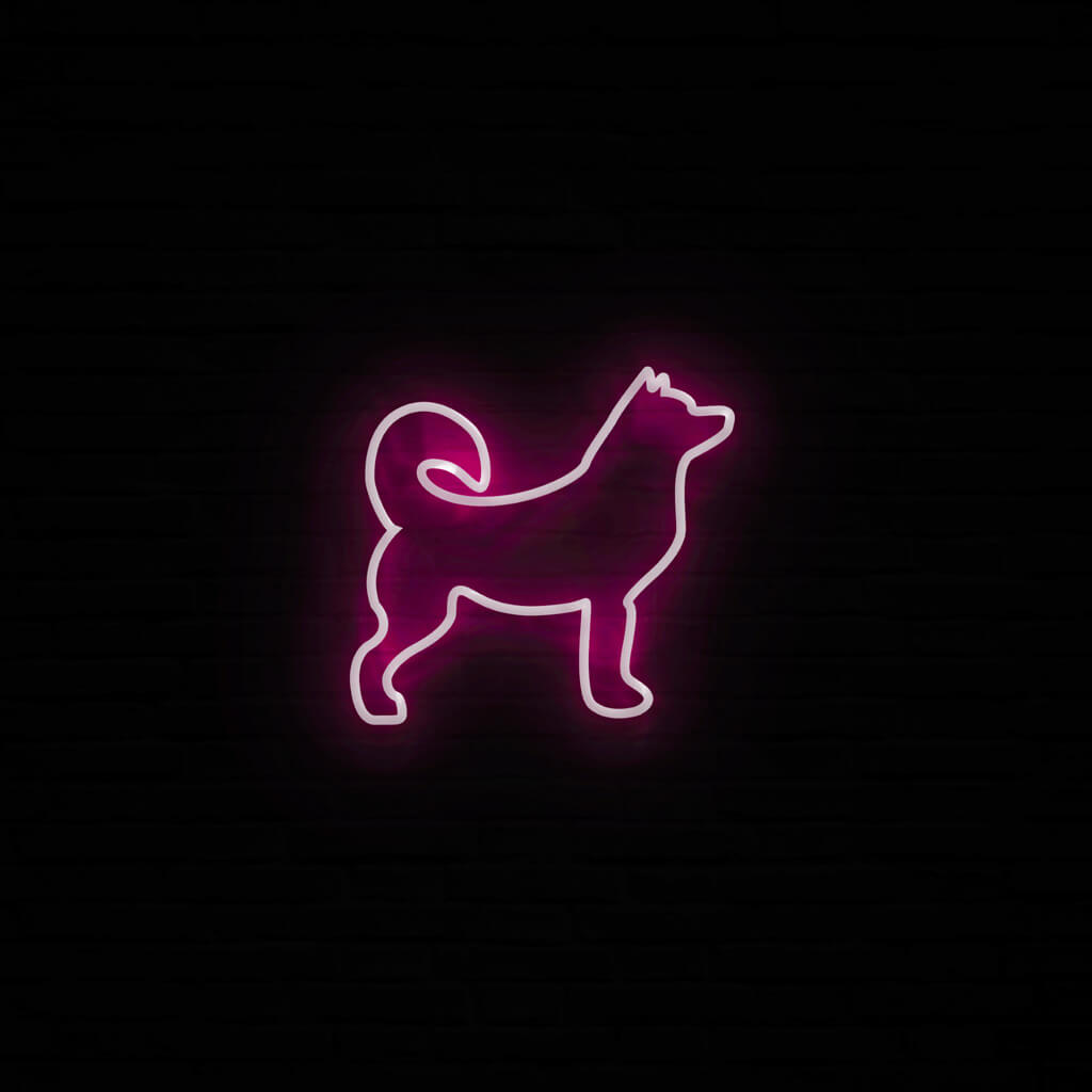 Husky Neon LED