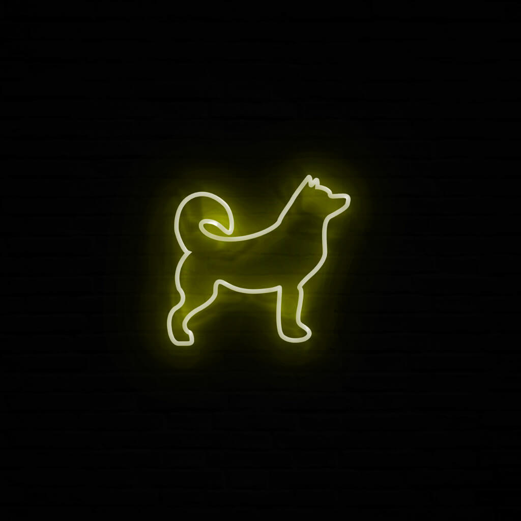 Husky Neon LED