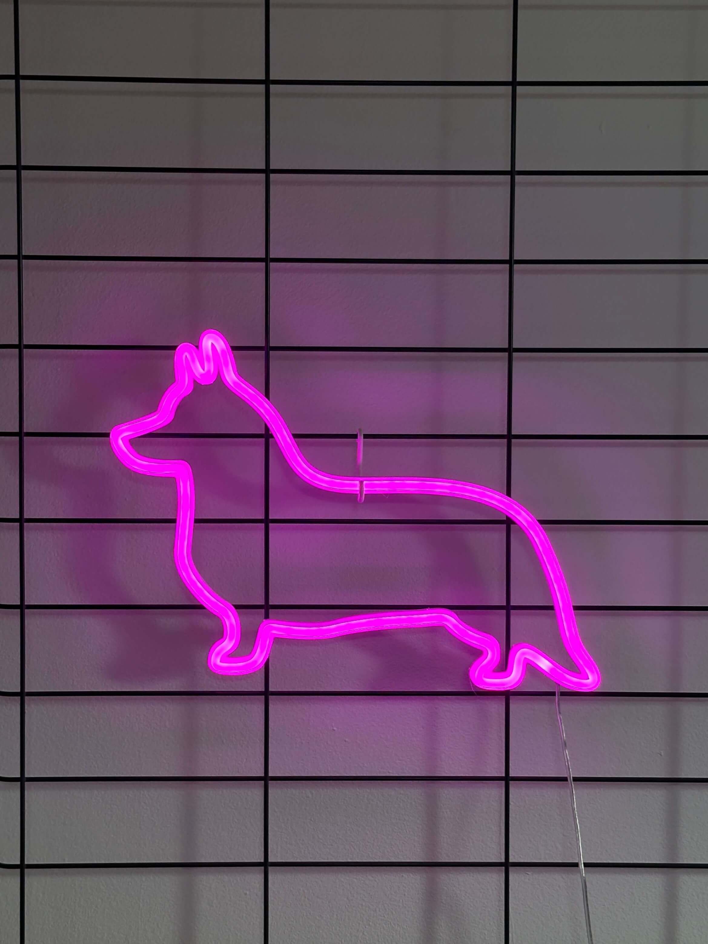 Corgi Neon LED