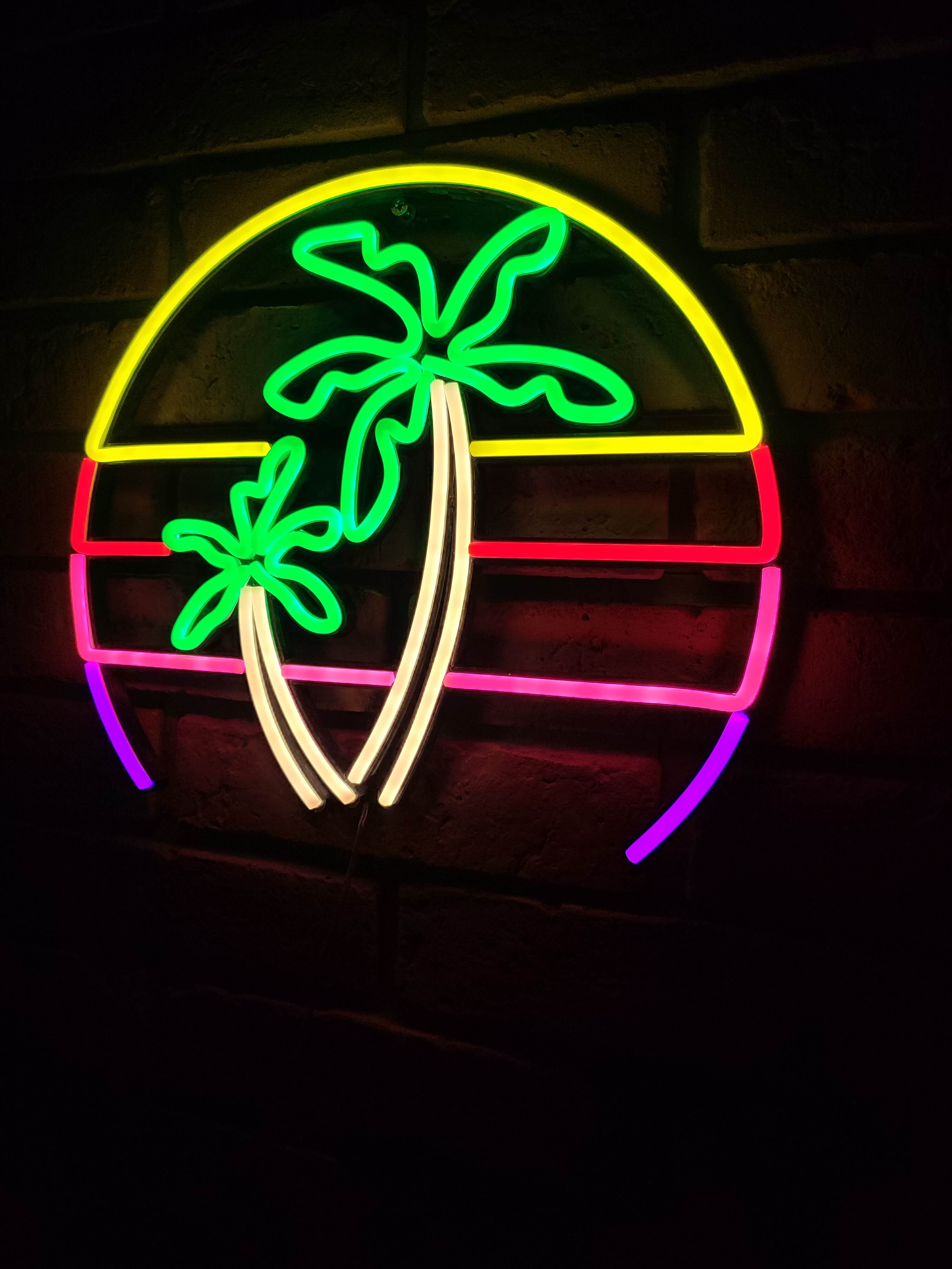 Palmy Neon LED