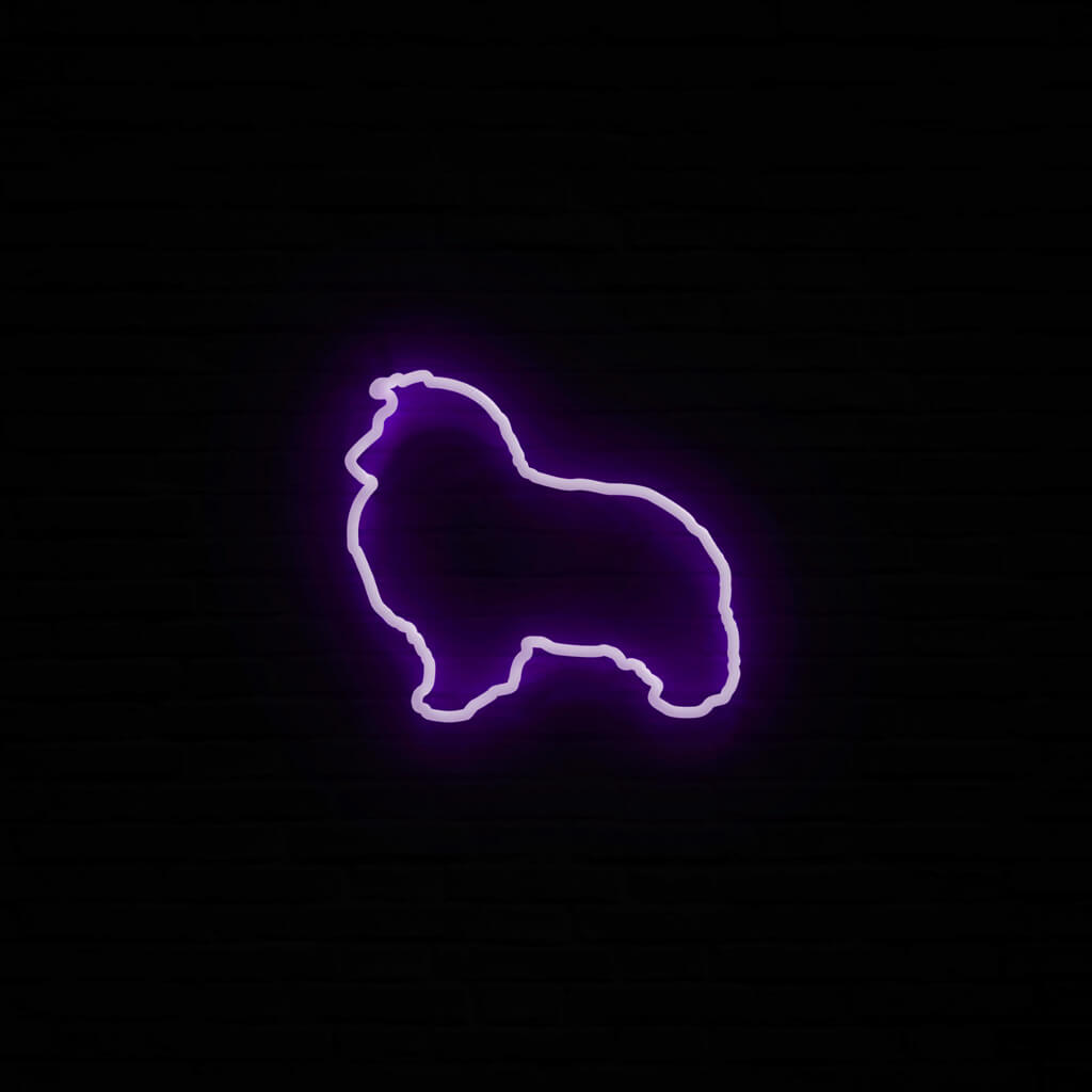 Sheltie Neon LED