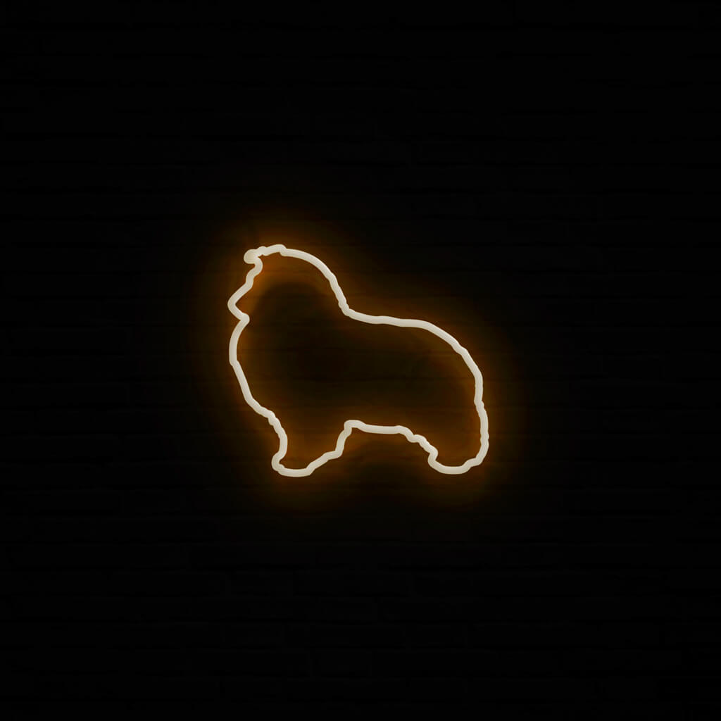 Sheltie Neon LED