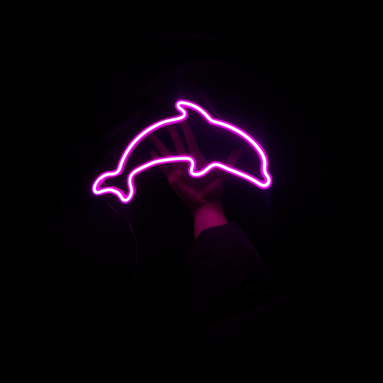 Delfin Neon LED