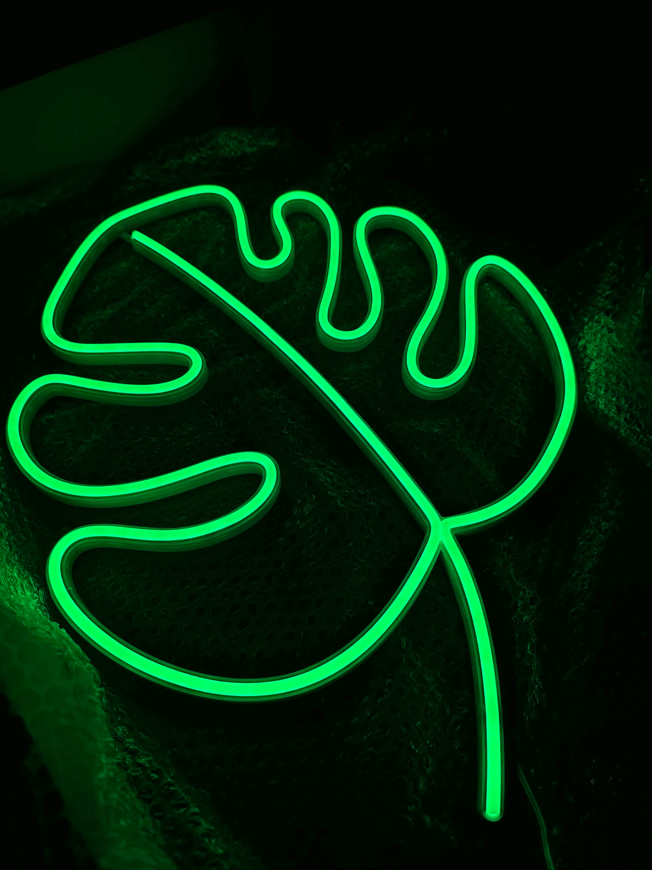 Liść Monstery Neon LED