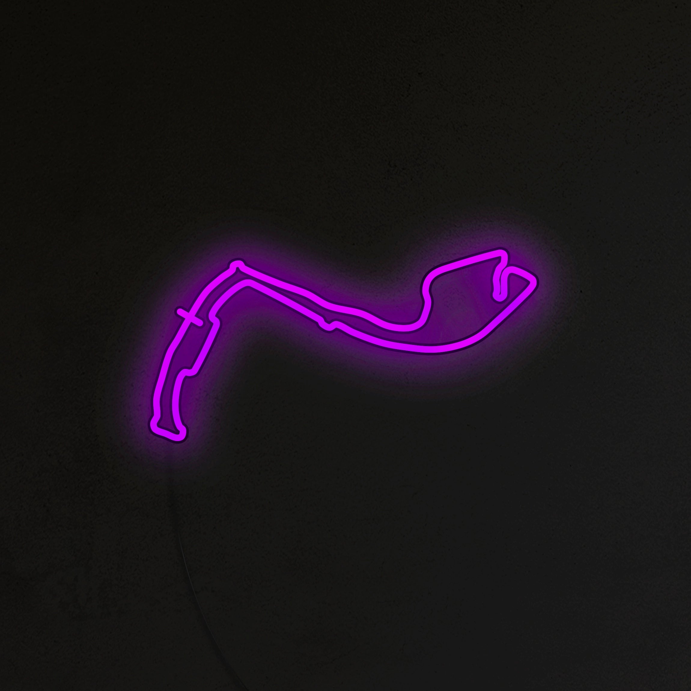 Tor Monte Carlo Neon LED