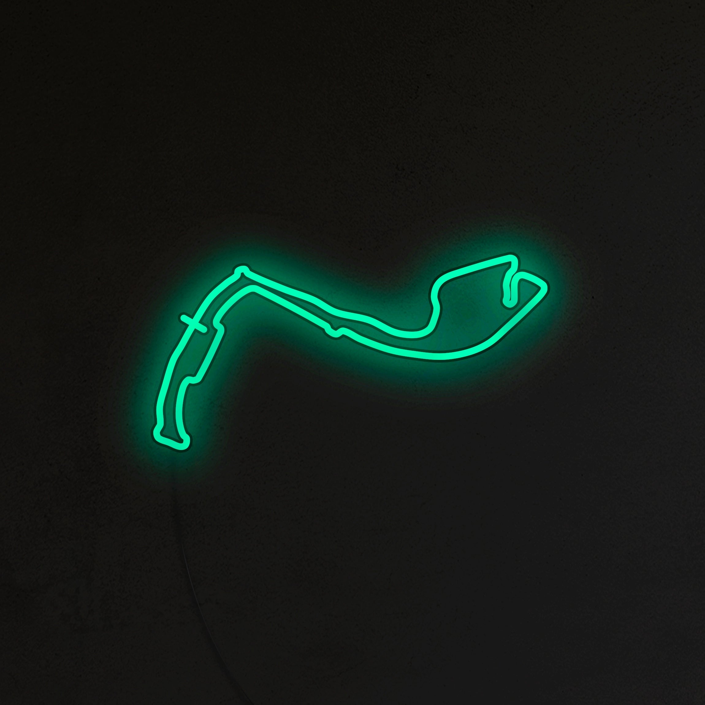 Tor Monte Carlo Neon LED