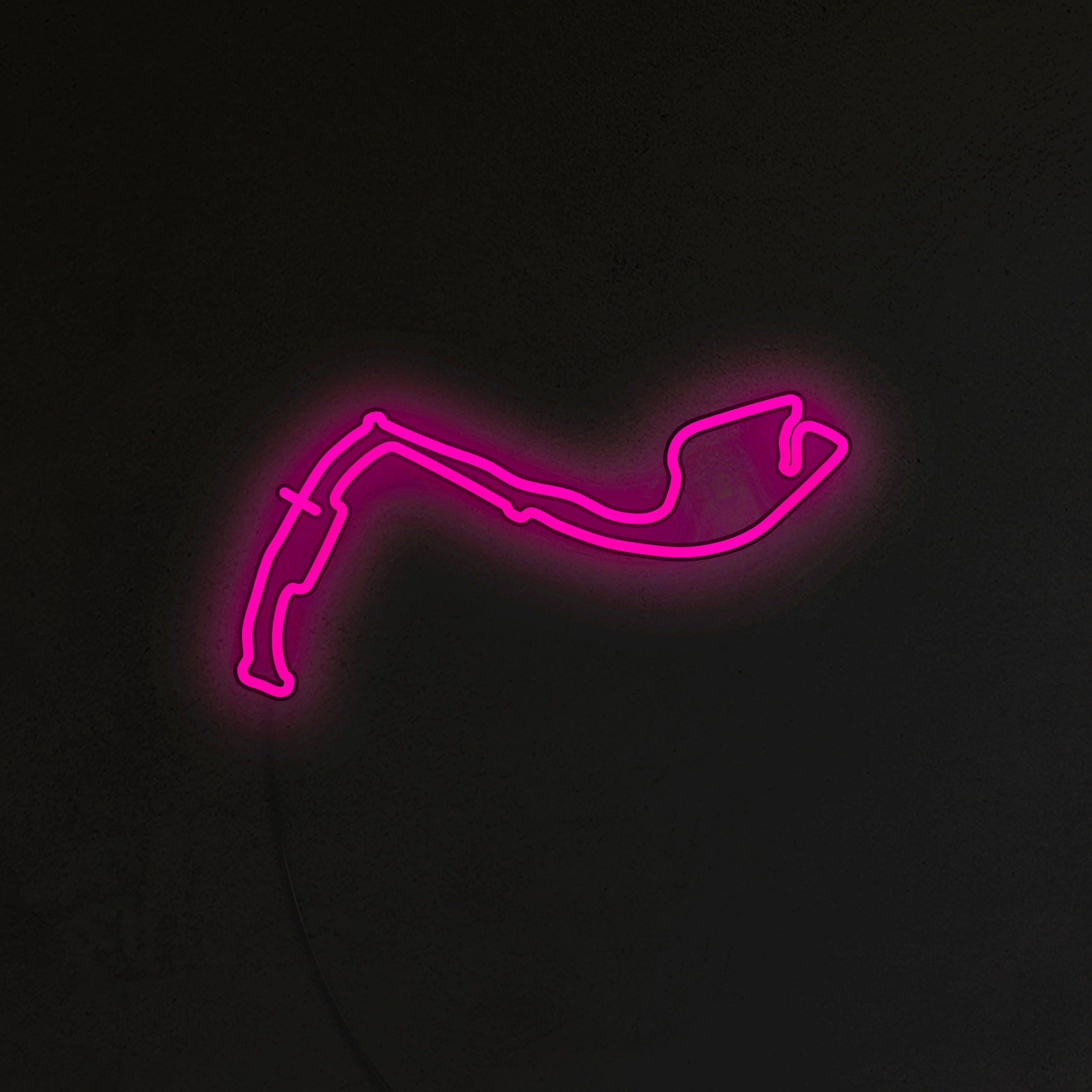 Tor Monte Carlo Neon LED