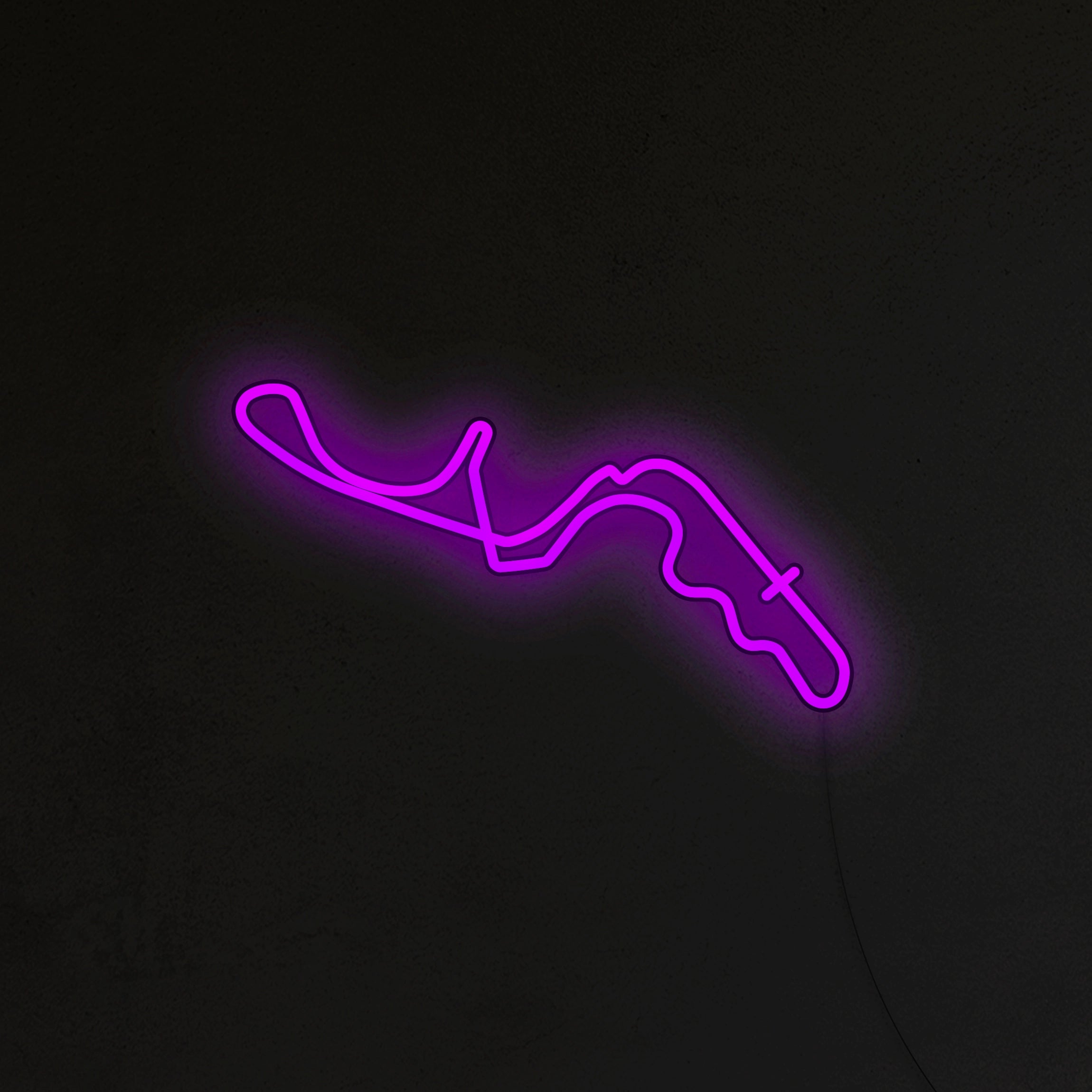 Tor Suzuka Neon LED