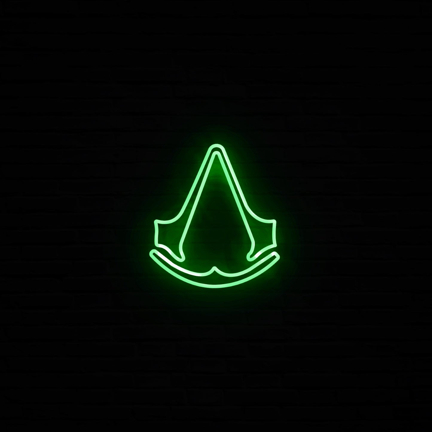 Assassin's Neon LED