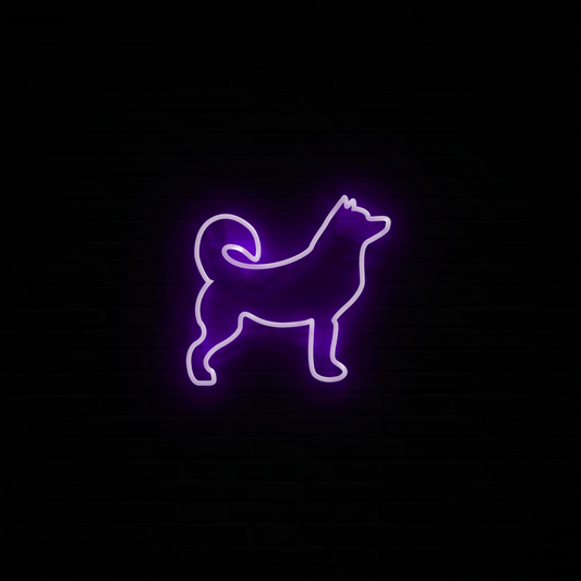 Husky Neon LED