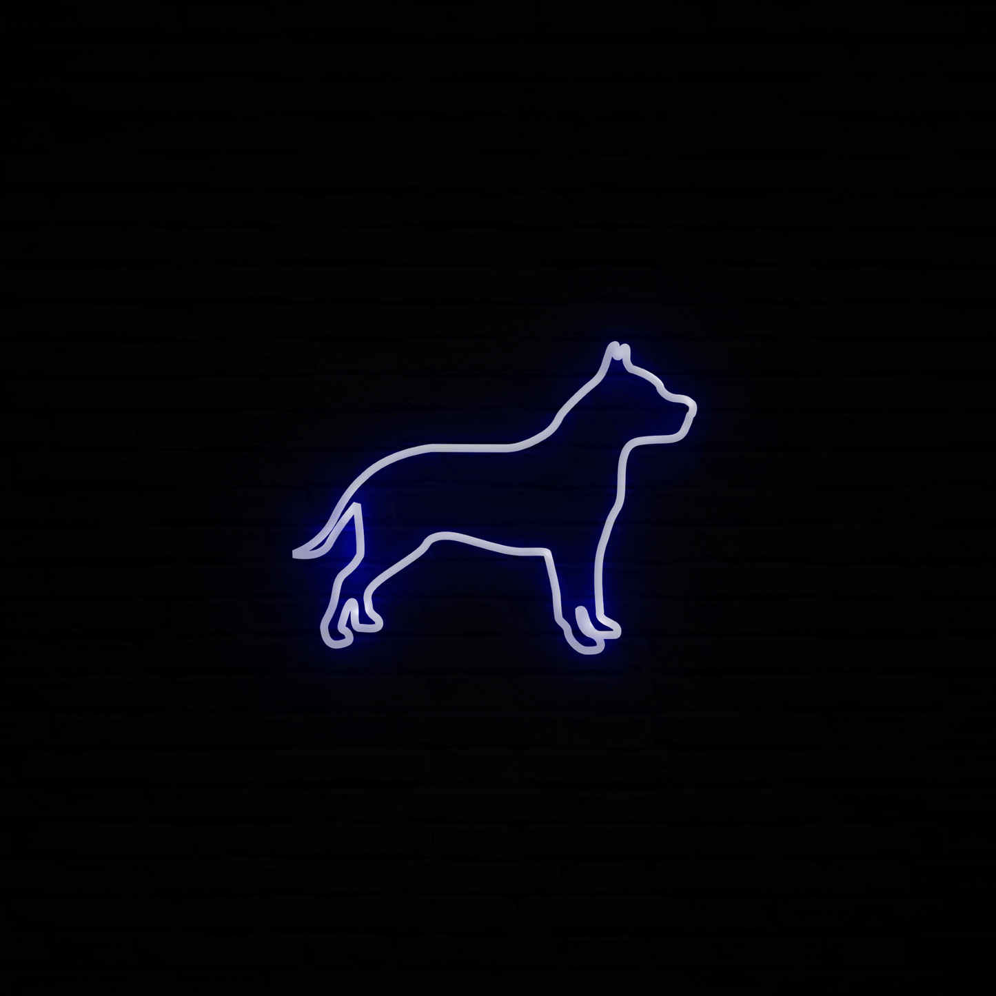 Pitbull Neon LED